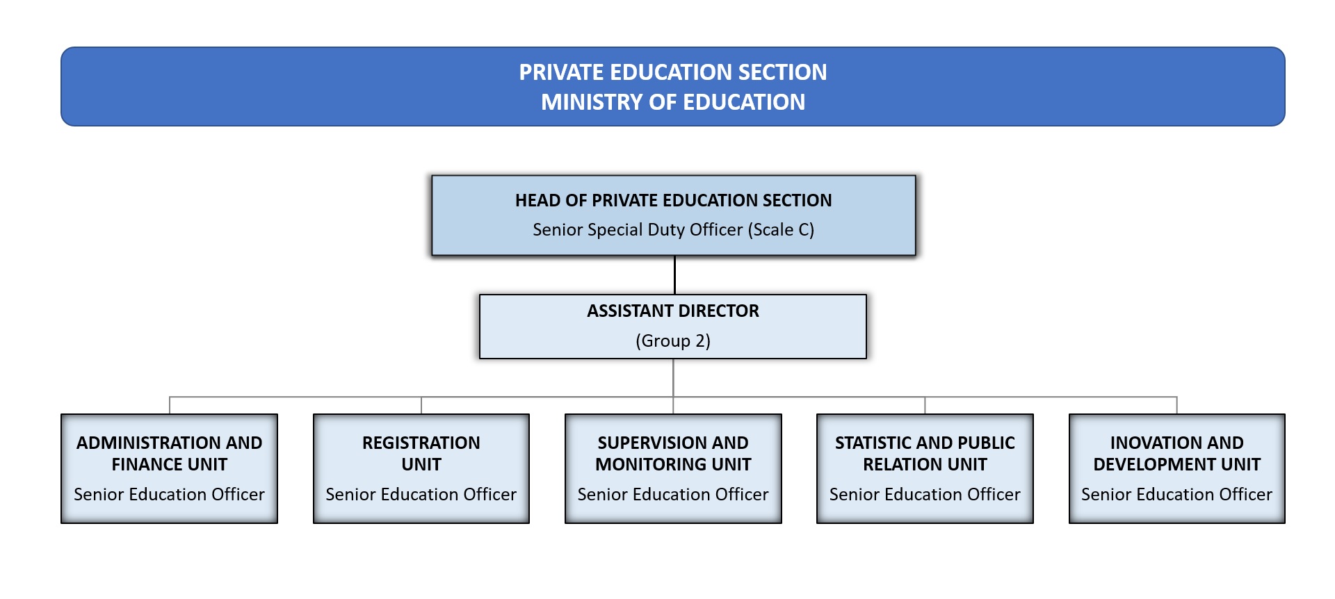 bps organisational chart (ENG).jpg